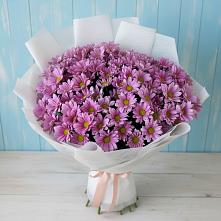 Букет цветов из:  Хризантемы в Кстово
