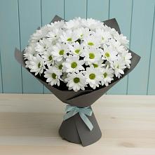 Букет цветов из:  Хризантемы в Кстово