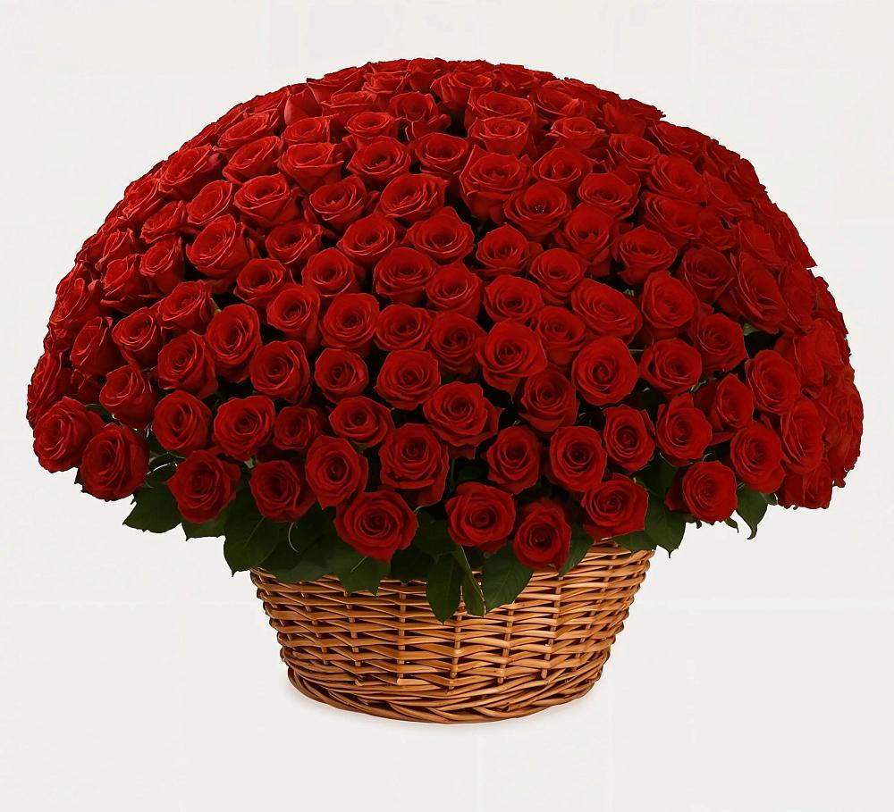 Премиум букет из: Розы в Кстово